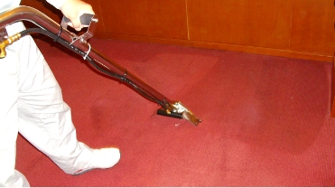 カーペットの汚れを吸い出して洗浄しているようす